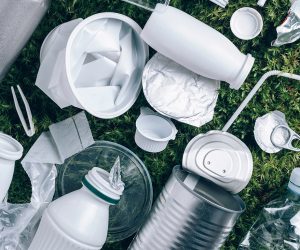 SUSTAINABILITY IN THE PACKAGING INDUSTRY